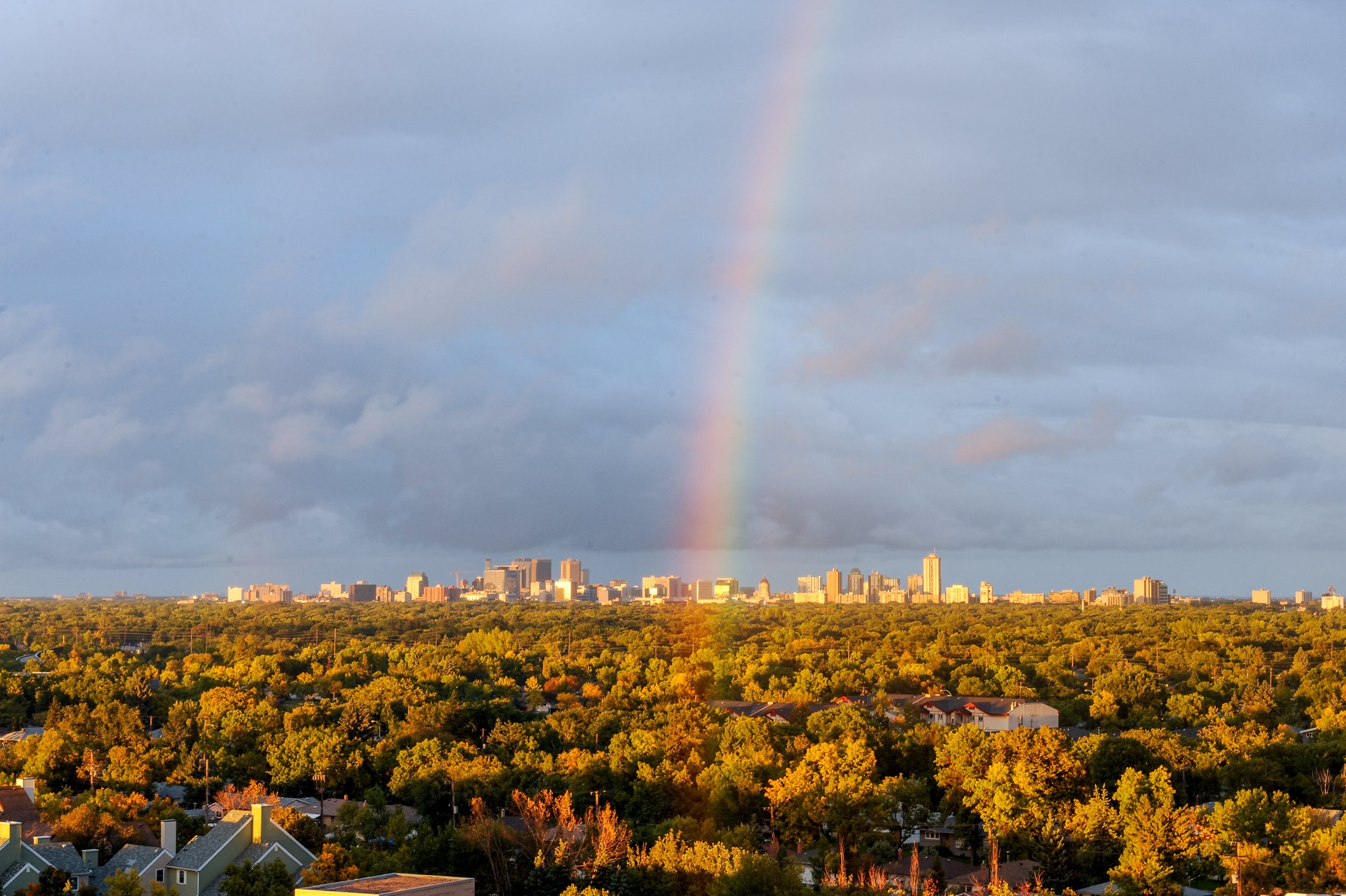 photo of Winnipeg Tree Canopy with rainbow